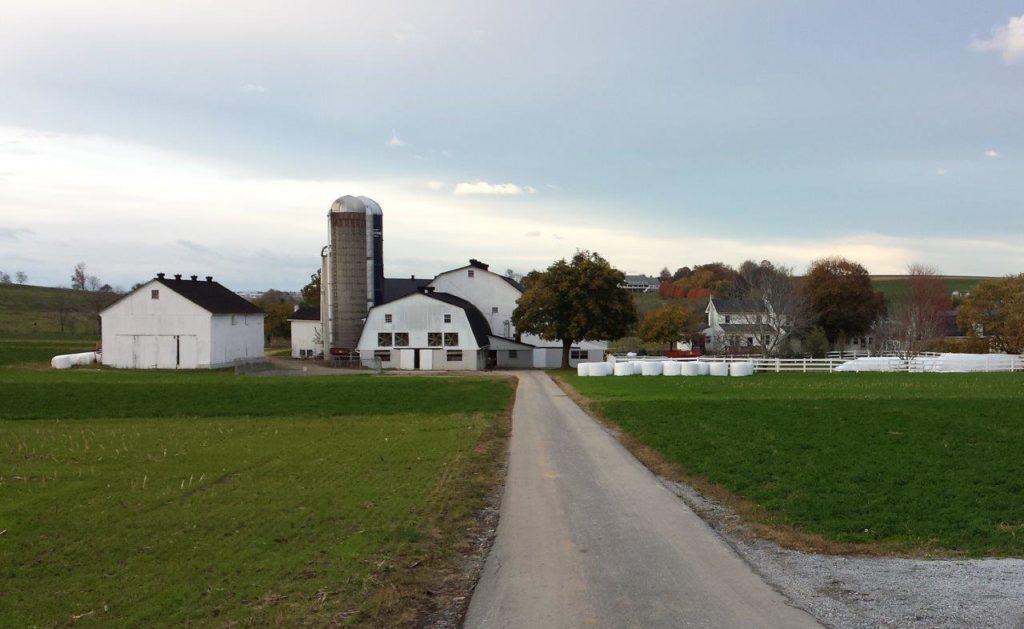 Amish farmstead